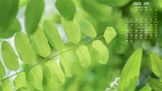 穆雷单杆最高分定格1球迷热议(走过挣扎期,穆雷单场50分意义不平凡) 穆雷单杆最高分定格1球迷热议(走过挣扎期,穆雷单场50分意义不平凡)