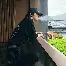 Doinb8次T禁赛1场6(doinb看到bo禁赛三个月) Doinb8次T禁赛1场6(doinb看到bo禁赛三个月)